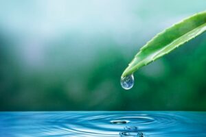 ecosystem-water-drop-nature-background-earth-day-campaign_53876-104839