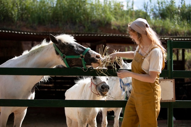 medium-shot-woman-feeding-animals_23-2149059787