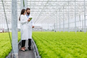 two-researches-man-woman-examine-greenery-with-tablet-all-white-greenhouse_8353-7141