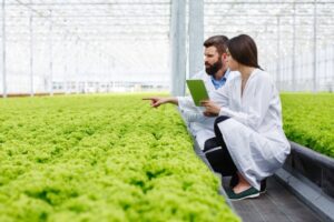 two-researches-man-woman-examine-greenery-with-tablet-all-white-greenhouse_8353-7179